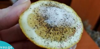 გამოიყენეთ ლიმონი, მარილი, წიწაკა და თქვენ გათავისუფლდებით ბევრი პრობლემისგან