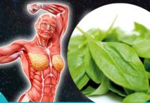 მრავალძარღვა მრავალი დაავადების განკურნების საშუალებაა!