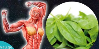 მრავალძარღვა მრავალი დაავადების განკურნების საშუალებაა!