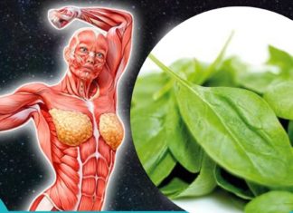 მრავალძარღვა მრავალი დაავადების განკურნების საშუალებაა!