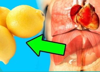 ჯანსაღი ციტრუსი: როგორ მოვამზადოთ ლიმონისგან წამალი?