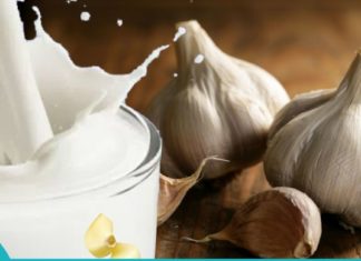 ნიორი რძეში არის ჯადოსნური საშუალება. მკურნალობს ყველაფერს: ხველას, ართრიტს, გულის პრობლემებს, რადიკულიტს, უძილობას