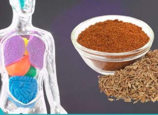 ძირას უნიკალური თვისებები, რომლებიც უნდა იცოდეთ