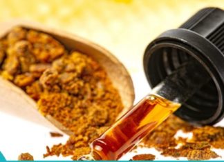 დინგელი-ნატურალური ანტიბიოტიკი, რომელიც სასწაულებს ახდენს