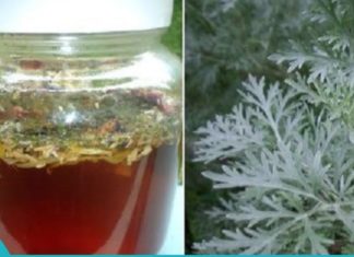 აბზინდა კურნავს უამრავ დაავადებას. აბზინდის ნაყენის მომზადება ხალხური მედიცინის რეცეფტებით.