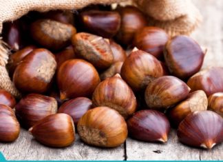 წაბლის ნაყოფის სამკურნალო მოქმედება, გამოყენება და რეცეპტები