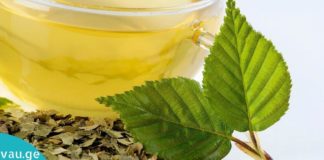 არყის ფოთლების უჩვეულო თვისებები ადამიანის ჯანმრთელობისთვის