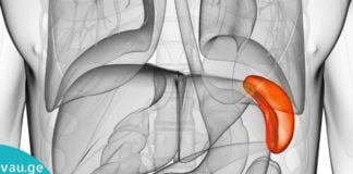 ელენთის მკურნალობა ხალხური მეთოდით