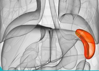 ელენთის მკურნალობა ხალხური მეთოდით