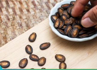 საზამთროს კურკის სამკურნალო თვისებები, რომელთა შესახებაც თითქმის არავინ იცის.