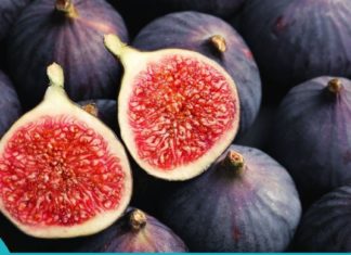 გაიგეთ ამ სტატიაში მეტი ლეღვის სამკურნალო თვისებების შესახებ