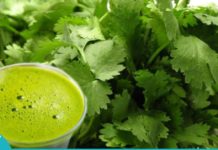 ქინძს შეუძლია არასასურველი ნივთიერებების 80% –მდე გამოდევნა სხეულიდან 42 დღის განმავლობაში. ეს არის ის, რისი გაკეთებაც გჭირდებათ!