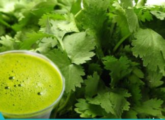 ქინძს შეუძლია არასასურველი ნივთიერებების 80% –მდე გამოდევნა სხეულიდან 42 დღის განმავლობაში. ეს არის ის, რისი გაკეთებაც გჭირდებათ!