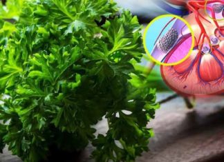 კენჭები გაქვთ თირკმელებში? აი როგორ უნდა გათავისუფლდეთ ამ ტკივილისგან!