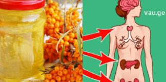 ქაცვის ზეთის სამკურნალო თვისებები. ნახეთ რომელ დაავადებებს კურნავს და როგორ მოვამზადოთ სახლის პირობებში