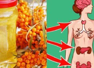 ქაცვის ზეთის სამკურნალო თვისებები. ნახეთ რომელ დაავადებებს კურნავს და როგორ მოვამზადოთ სახლის პირობებში