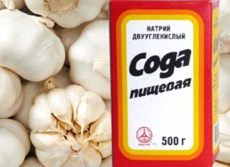 რა აღარ ვცადე, მაგრამ ჩემს ფილტვებს სოდა და ნიორი თუ უშველიდა, ვერც ვიფიქრებდი. მინდა, თქვენც გაგიზიაროთ ეს საოცარი საშუალება.