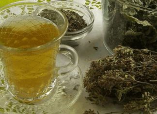 მონასტრის ჩაის სამკურნალო თვისებები, რომელიც ამარცხებს ალკოჰოლზე დამოკოდებულებას