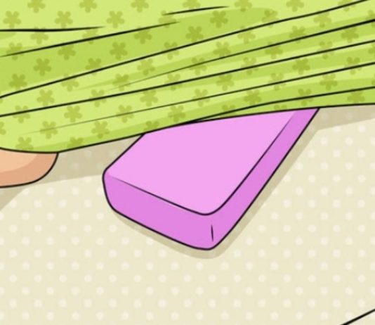 მან საპონი თეთრეულის ქვეშ დადო. რატომ? მიზეზი გენიალურია!