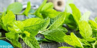 პიტნის ერთი ფოთოლით თქვენ გაასუფთავებთ თქვენს კუჭს, განაახლეთ ღვიძლს და მოიცილებთ გასტრიტს