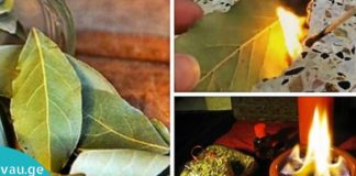 დაწვით დაფნის ფოთოლი თქვენს სახლში. რისთვის? გაგიკვირდებათ!