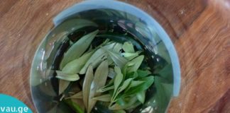 ამ უნიკალური მცენარის დახმარებით დაემშვიდობეთ დიაბეტს, ინსულტს, ჰიპერტენზიას, ალცჰაიმერის დაავადებას და ა.შ.