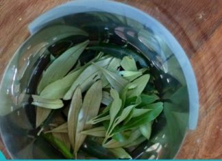 ამ უნიკალური მცენარის დახმარებით დაემშვიდობეთ დიაბეტს, ინსულტს, ჰიპერტენზიას, ალცჰაიმერის დაავადებას და ა.შ.