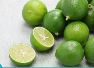 ლაიმის სამკურნალო თვისებები