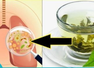 პროდუქტები, რომელიც შესანიშნავად წმენდს ფილტვებს