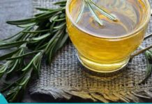 მცენარე, რომელიც აუმჯობესებს მეხსიერებას და სისხლის მიმოქცევას ტვინში