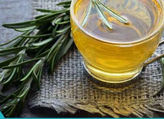 მცენარე, რომელიც აუმჯობესებს მეხსიერებას და სისხლის მიმოქცევას ტვინში