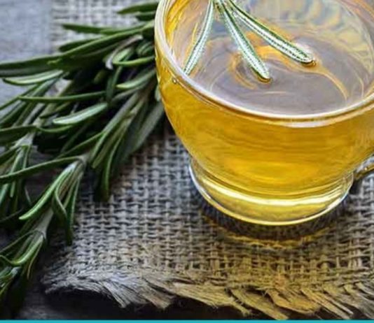 მცენარე, რომელიც აუმჯობესებს მეხსიერებას და სისხლის მიმოქცევას ტვინში