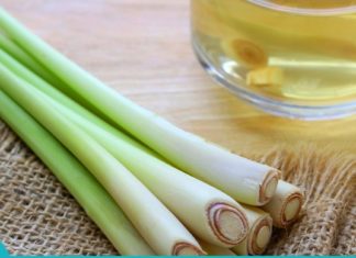 ყველა გაოცდებით ლიმნოგრასის სამკურნალო თვისებებით!