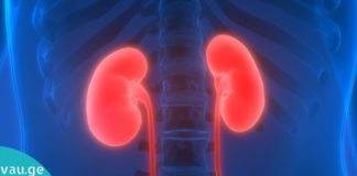 7 მავნე ჩვევა, რომელსაც შეუძლია გამოიწვიოს თირკმლის დაზიანება. თქვენ დაუყოვნებლივ უნდა მოახერხოთ მათი თავიდან აცილება!