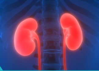 7 მავნე ჩვევა, რომელსაც შეუძლია გამოიწვიოს თირკმლის დაზიანება. თქვენ დაუყოვნებლივ უნდა მოახერხოთ მათი თავიდან აცილება!