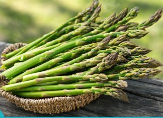 სატაცურის 8 სასარგებლო თვისება