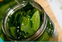 არანაირი ვარიკოზული ვენები, არანაირი სკლეროზი ამ მეთოდის გამოყენების შემდეგ!