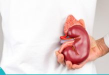 თირკმელზედა ჯირკვლების მკურნალობა ხალხური საშუალებებით