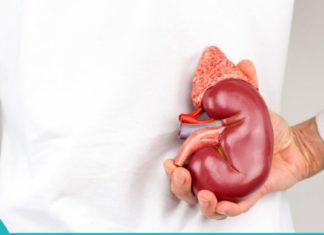 თირკმელზედა ჯირკვლების მკურნალობა ხალხური საშუალებებით