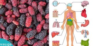 თუთის სამკურნალო თვისებები, თუთის ფოთლების ჩაი