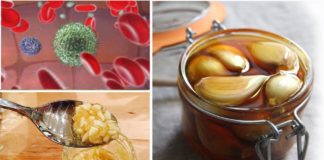 თუ 7 დღის განმავლობაში მიირთმევთ ნიორს და თაფლს უზმოზე, აი, რა დაემართება თქვენს სხეულს! თქვენ უნდა წაიკითხოთ ეს სტატია!