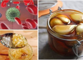 თუ 7 დღის განმავლობაში მიირთმევთ ნიორს და თაფლს უზმოზე, აი, რა დაემართება თქვენს სხეულს! თქვენ უნდა წაიკითხოთ ეს სტატია!