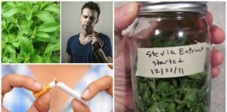 გსურთ მოწევას თავი დაანებოთ? მაშინ ეს მცენარე დროულად გამოიყენეთ