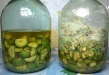 უებარი წამალი მწვანე კაკალისგან: აუმჯობესებს მხედველობას, აჯანსაღებს სახსრებს და ფარისებრი ჯირკვალს