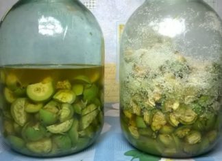 უებარი წამალი მწვანე კაკალისგან: აუმჯობესებს მხედველობას, აჯანსაღებს  სახსრებს და ფარისებრი ჯირკვალს