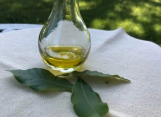 დაფნის ზეთი და ნაყენი უებარია წამალია ართრიტის, რევმატიზმის, ართროზის, ჰაიმორიტის და კუნთების ტკივილის დროს.