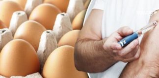 უთხარით არა დიაბეტს! კვერცხი – ეს ისაა რაც თქვენ გჭირდებათ, რათა აკონტროლოთ სისხლში შაქრის დონე. აი რა რეცეფტი უნდა მოამზადოთ