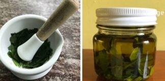 დაფნის ეთერზეთის საოცარი სამკურნალო თვისებები. ნახეთ როგორ უნდა მოამზადოთ დაფნის ეთერზეთი.