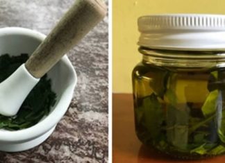 დაფნის ეთერზეთის საოცარი სამკურნალო თვისებები. ნახეთ როგორ უნდა მოამზადოთ დაფნის ეთერზეთი.