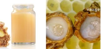 ფუტკრის რძე სასიცოცხლოდ მნიშველოვანია ყველა ორგანიზისთვის